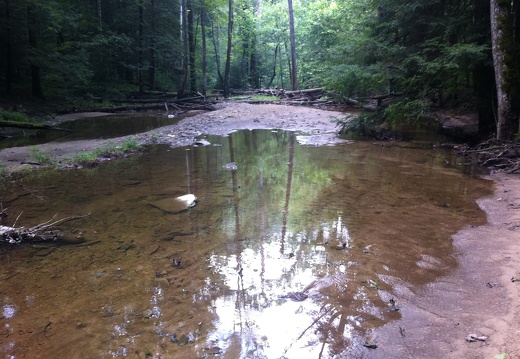 Sheltowee Trace, Red River Gorge